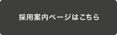 採用案内