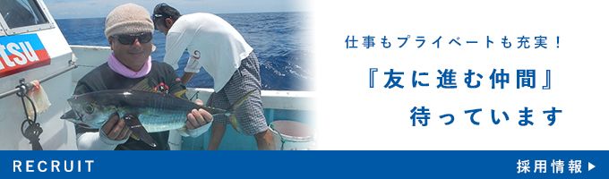 採用情報